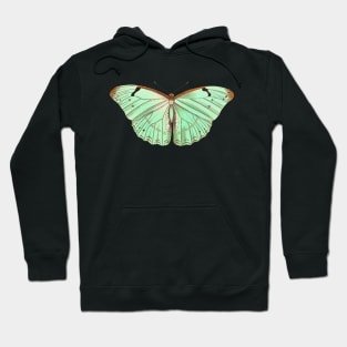 Laertes butterfly Hoodie